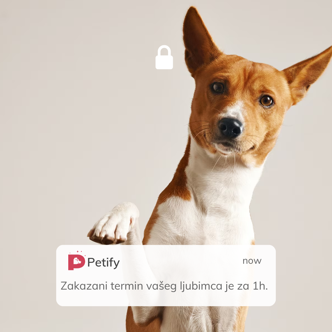 Petify notifikacija na telefonu